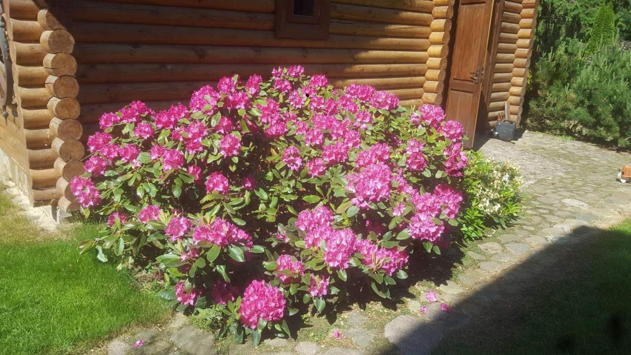 Sveciu Namelis Hotel Šiauliai Kültér fotó